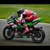 jackroach46
